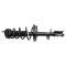 Strut & Spring Assembly
