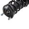 Strut & Spring Assembly