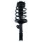 Strut & Spring Assembly