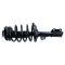 Strut & Spring Assembly