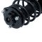 Strut & Spring Assembly