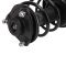 Strut & Spring Assembly
