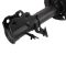 Strut & Spring Assembly