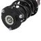 Strut & Spring Assembly