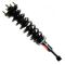 Strut & Spring Assembly